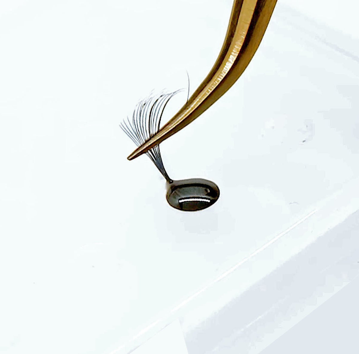 Volume Expert Klebepalette