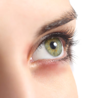 Anti-Allergie Wimpernkleber