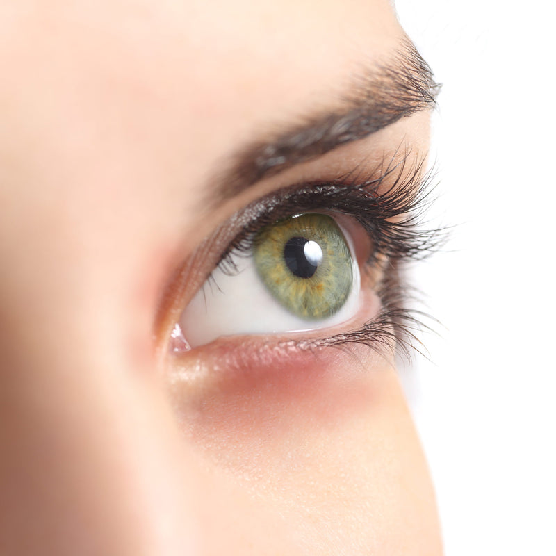 Anti-Allergie Wimpernkleber