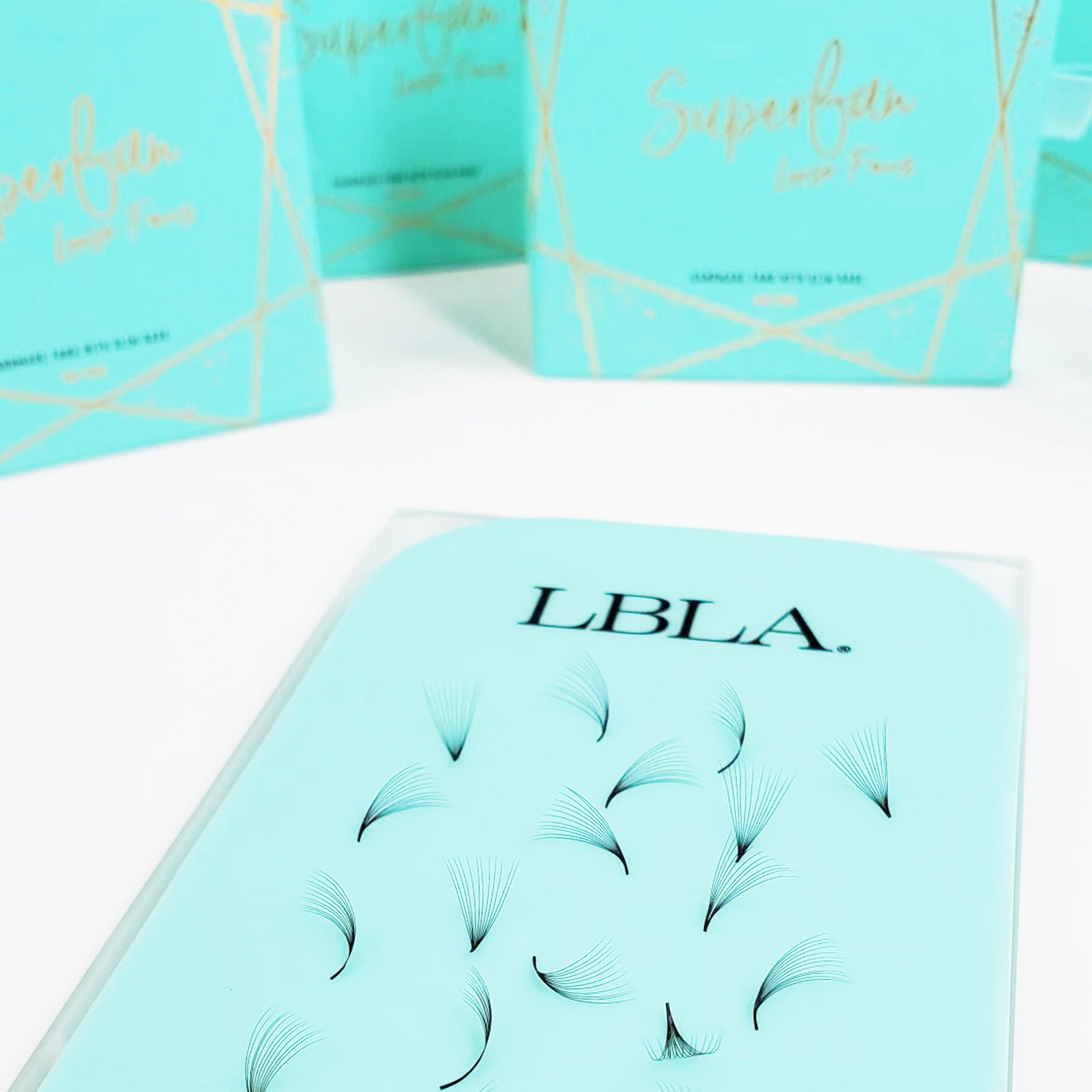 Lurrose Wimpernverlängerung-Set – 100 Stück Wimpernbecher (Cups) Für Volumen-Lashes, Wiederverwendbar, Ideal Für DIY Oder Profis